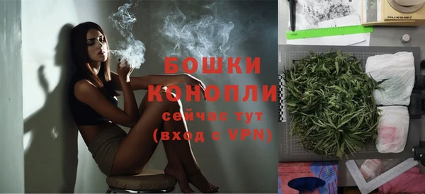 ешки Белокуриха