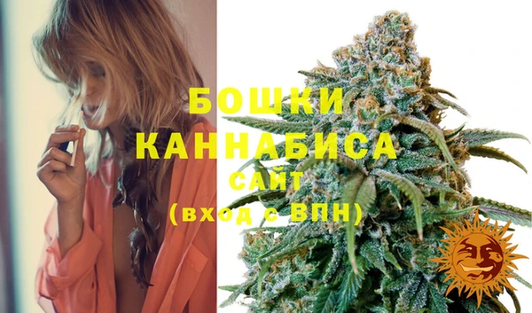 ешки Белокуриха