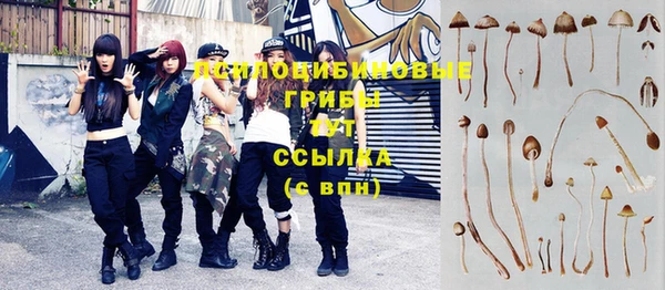 прущий лед Белоозёрский