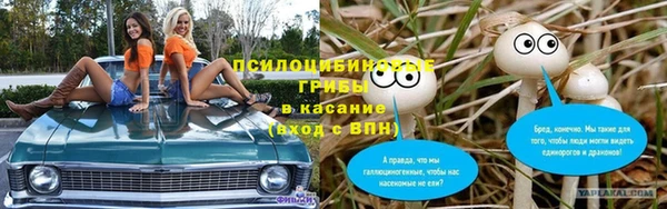 ешки Белокуриха