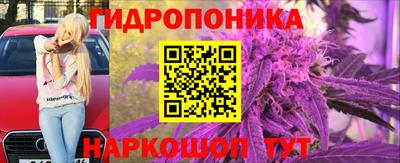 стаф Заволжье